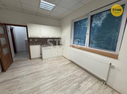 Pronájem kanceláře, 19 m²