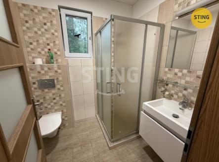 Pronájem kanceláře, 19 m²