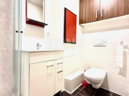 Pronájem bytu, 1+1, 41 m²