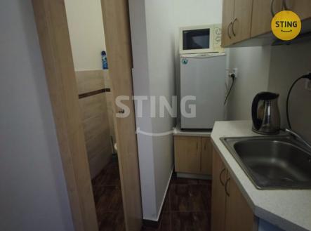 Pronájem obchodní prostor, 20 m²