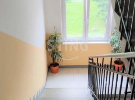 Pronájem bytu, 1+1, 56 m²