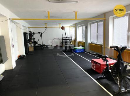 Pronájem jiné, 116 m²