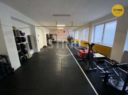 Pronájem jiné, 116 m²