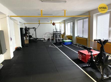 Pronájem jiné komerční nemovitosti, 116 m²