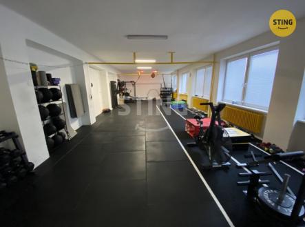 Pronájem jiné komerční nemovitosti, 116 m²