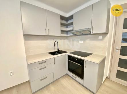 Pronájem bytu, 1+kk, 25 m²