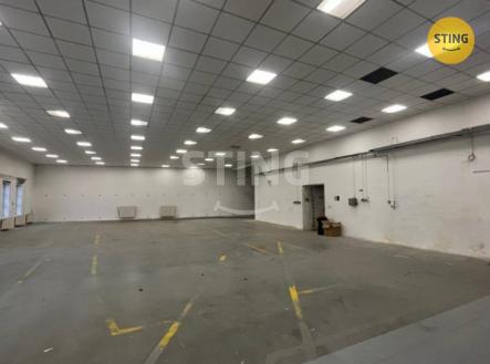 Pronájem skladovací prostor, 605 m²