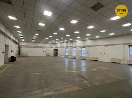 Pronájem skladovací prostor, 605 m²