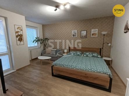 Pronájem bytu, 1+1, 36 m²