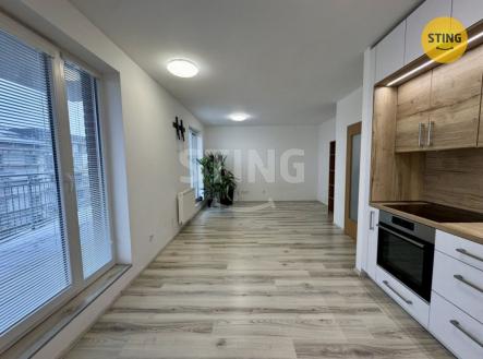 Pronájem bytu, 1+kk, 55 m²