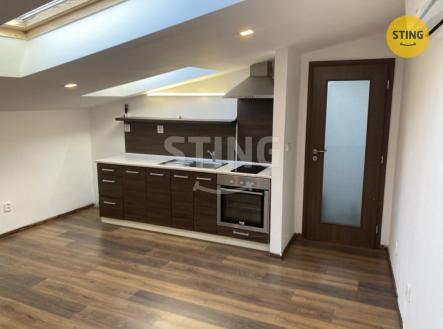 Pronájem bytu, 1+kk, 47 m²