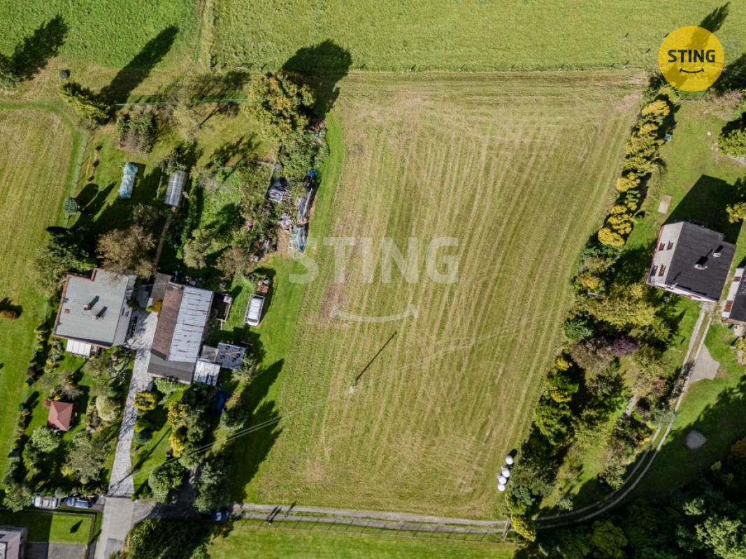 DJI_0243.jpg