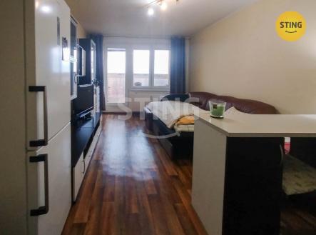 Prodej bytu, 1+kk, 29 m²