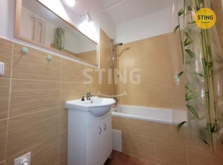 Pronájem bytu, 1+1, 31 m²