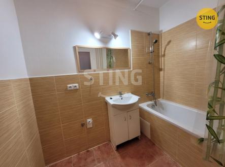 Pronájem bytu, 1+1, 31 m²