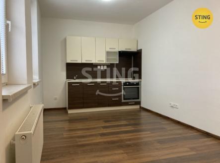 Pronájem bytu, 1+kk, 25 m²
