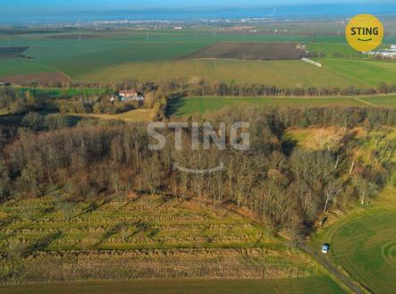 Prodej pozemku pro komerční výstavbu, 2 696 m²