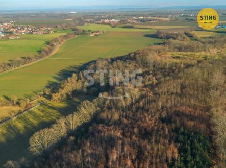 Prodej pozemku pro komerční výstavbu, 2 696 m²