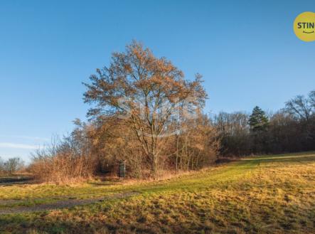 Prodej pozemku pro komerční výstavbu, 2 696 m²