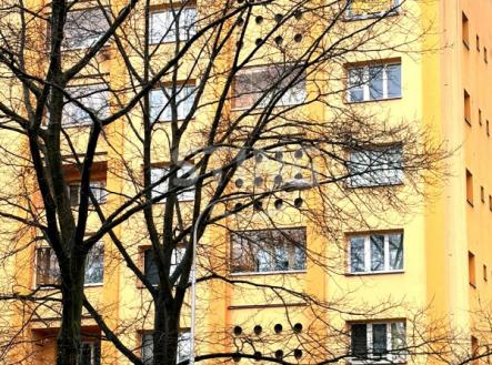 Prodej bytu, 1+kk, 24 m²