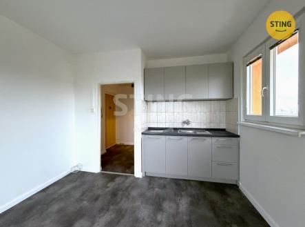 Prodej bytu, 1+kk, 24 m²