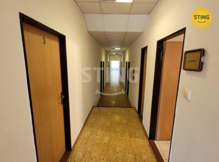 Pronájem kanceláře, 13 m²