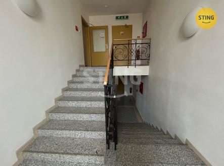 Pronájem kanceláře, 40 m²