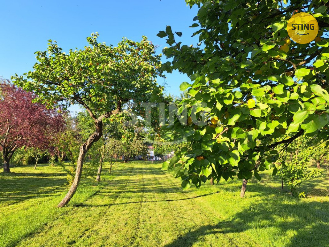 IMG-20260117-WA0009 (2).jpg