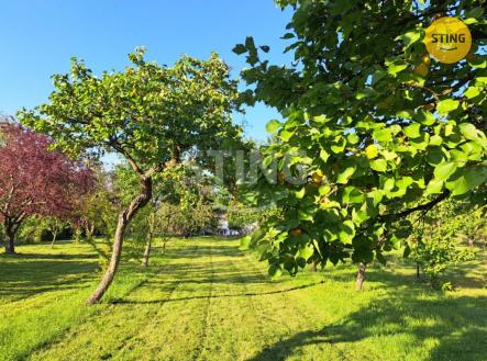 Prodej pozemku pro bydlení, 1 185 m²