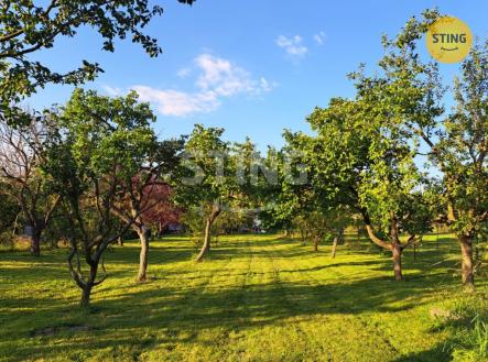 Prodej pozemku pro bydlení, 1 185 m²