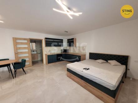 Pronájem bytu, 1+kk, 41 m²