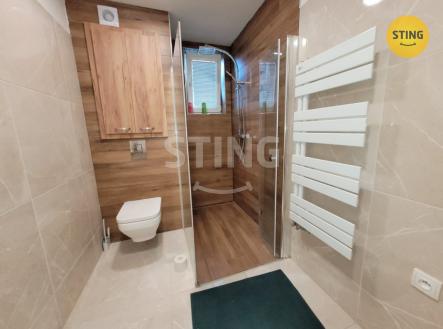 Pronájem bytu, 1+kk, 41 m²