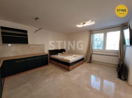 Pronájem bytu, 1+kk, 41 m²