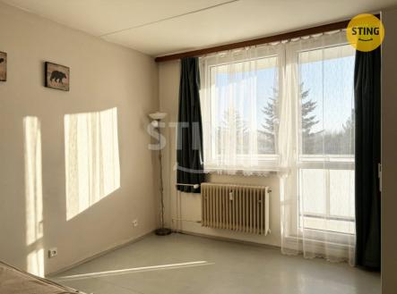 Pronájem bytu, 1+1, 34 m²