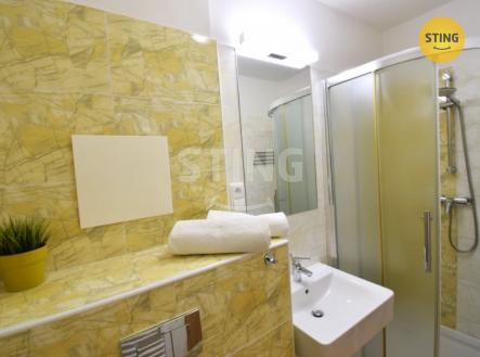 Pronájem bytu, 1+kk, 24 m²