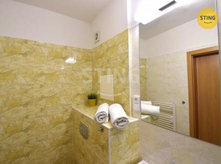 Pronájem bytu, 1+kk, 24 m²