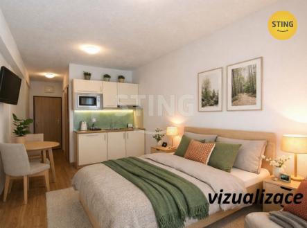 Pronájem bytu, 1+kk, 24 m²
