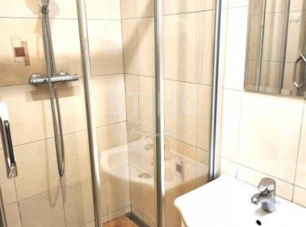 Pronájem bytu, 2+1, 52 m²