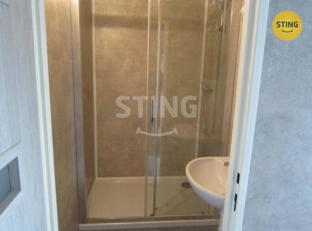 Pronájem bytu, 1+1, 38 m²