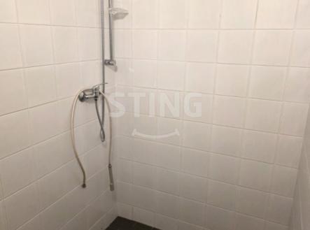 Pronájem výrobní prostor, 316 m²