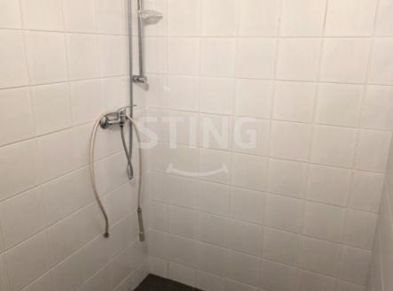 Pronájem výrobní prostory, 316 m²