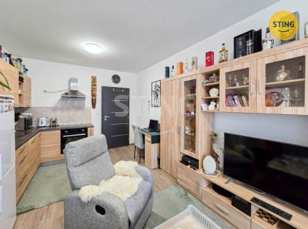 Prodej bytu, 1+kk, 31 m²