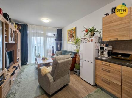 Prodej bytu, 1+kk, 31 m²