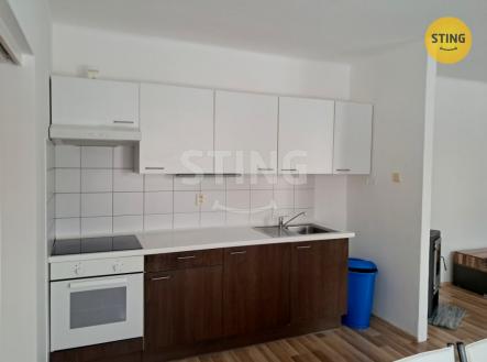 Pronájem bytu, 1+kk, 45 m²