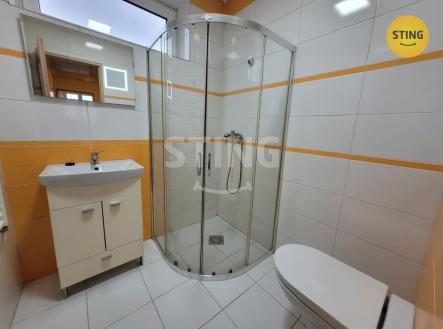 Pronájem bytu, 2+1, 54 m²