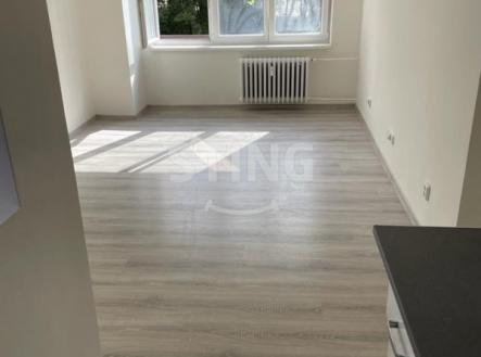 Pronájem bytu, 2+1, 55 m²