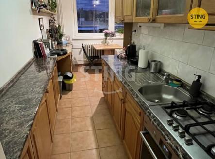 Pronájem bytu, 1+1, 46 m²