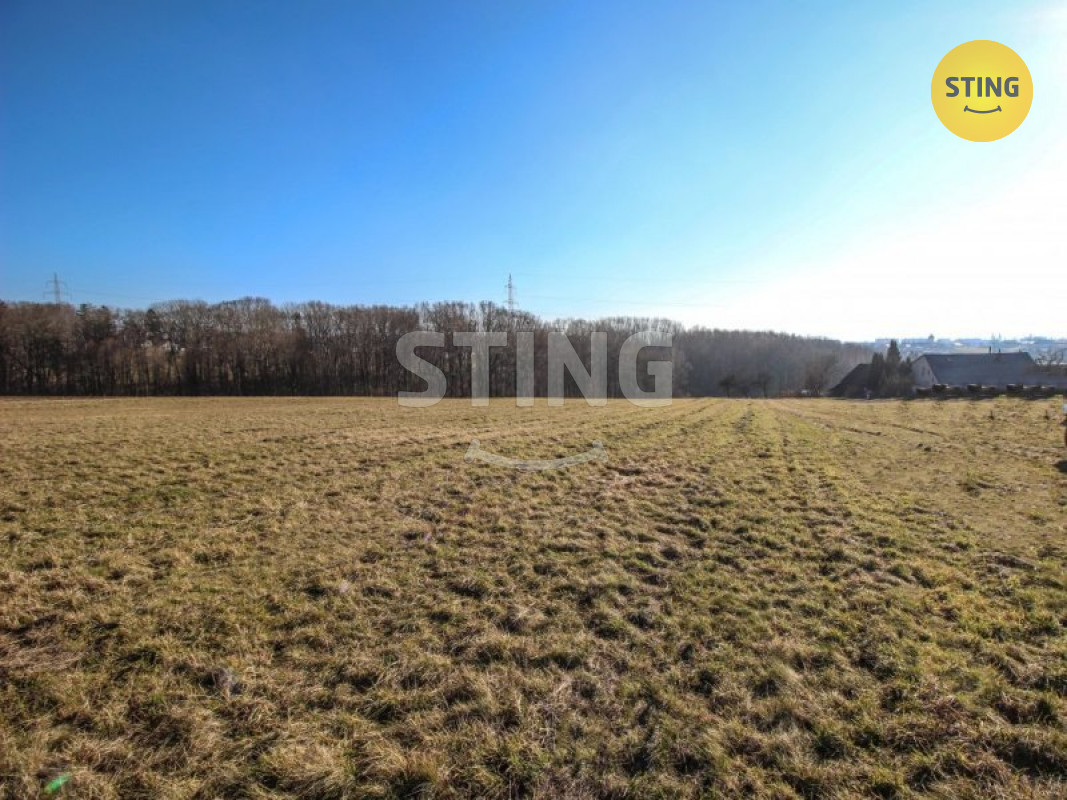 stažený soubor (8).jpeg