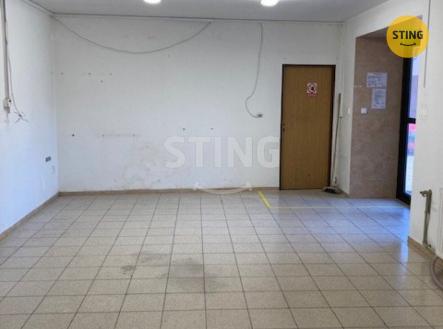 Pronájem skladovací prostor, 230 m²