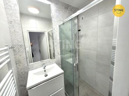 Pronájem bytu, 2+1, 44 m²